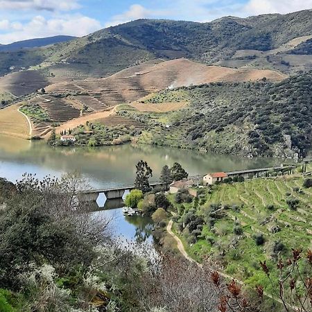Quinta Da Ferradosa Wines ξενώνας São João da Pesqueira Εξωτερικό φωτογραφία