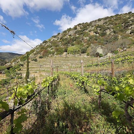 Quinta Da Ferradosa Wines ξενώνας São João da Pesqueira Εξωτερικό φωτογραφία