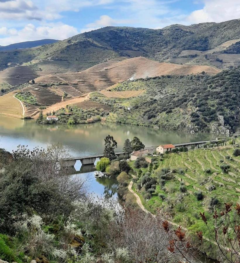 Quinta Da Ferradosa Wines ξενώνας São João da Pesqueira Εξωτερικό φωτογραφία