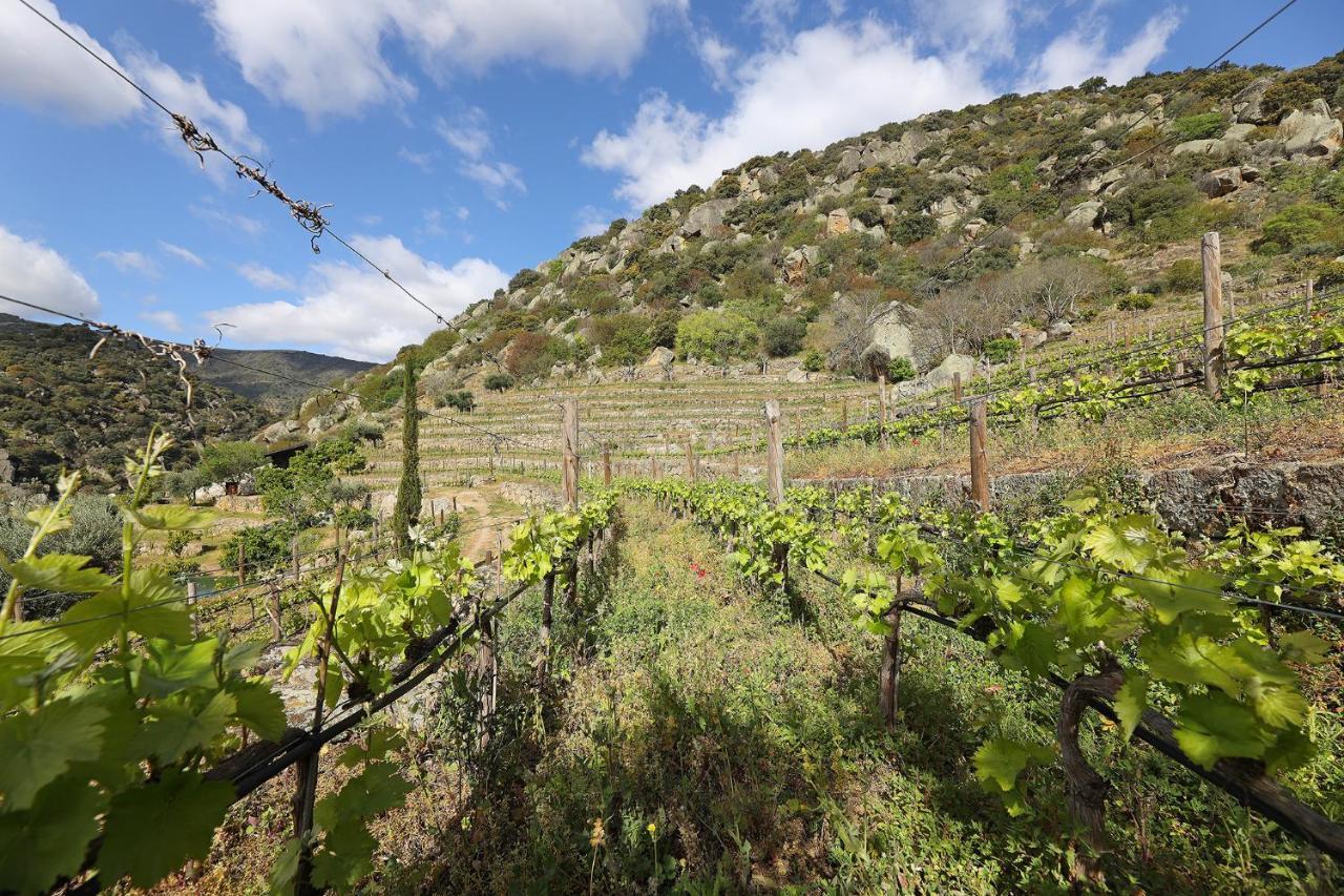Quinta Da Ferradosa Wines ξενώνας São João da Pesqueira Εξωτερικό φωτογραφία