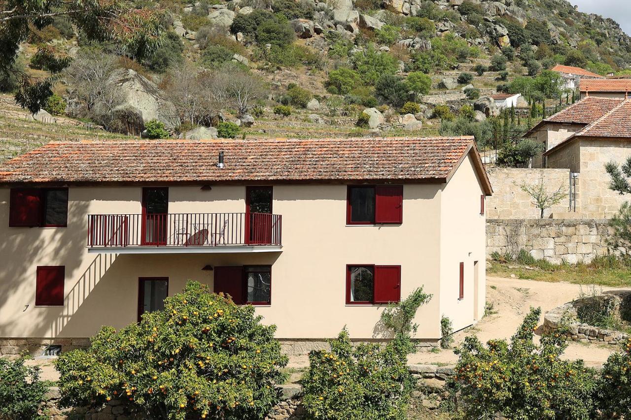 Quinta Da Ferradosa Wines ξενώνας São João da Pesqueira Εξωτερικό φωτογραφία
