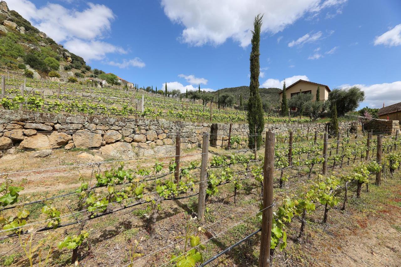 Quinta Da Ferradosa Wines ξενώνας São João da Pesqueira Εξωτερικό φωτογραφία