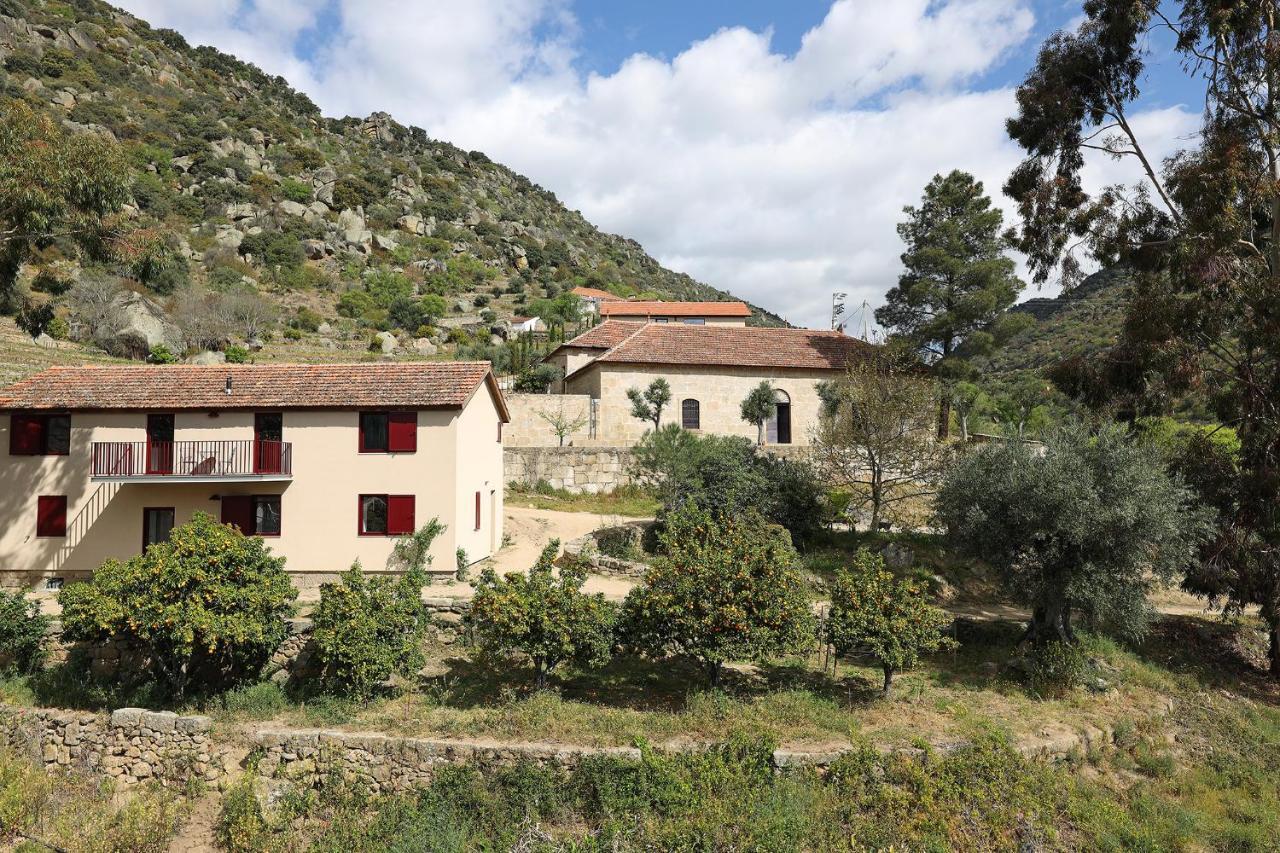 Quinta Da Ferradosa Wines ξενώνας São João da Pesqueira Εξωτερικό φωτογραφία