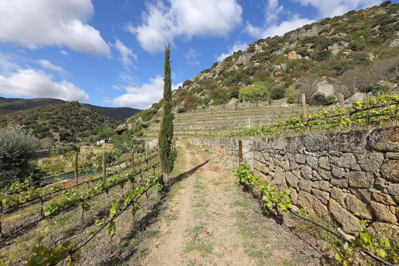 Quinta Da Ferradosa Wines ξενώνας São João da Pesqueira Εξωτερικό φωτογραφία